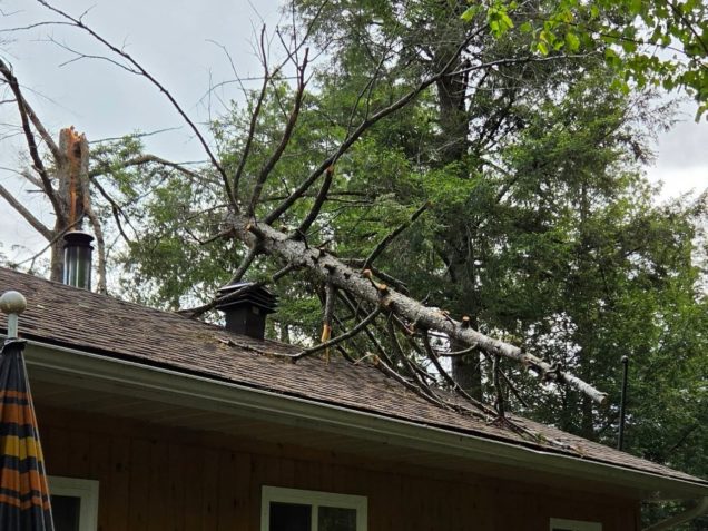 Fallen tree on a house roof after a storm